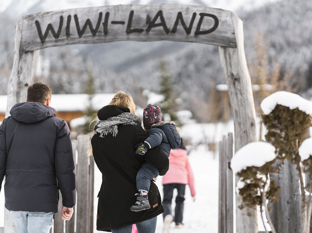 Family Apartments Winklwiese主图