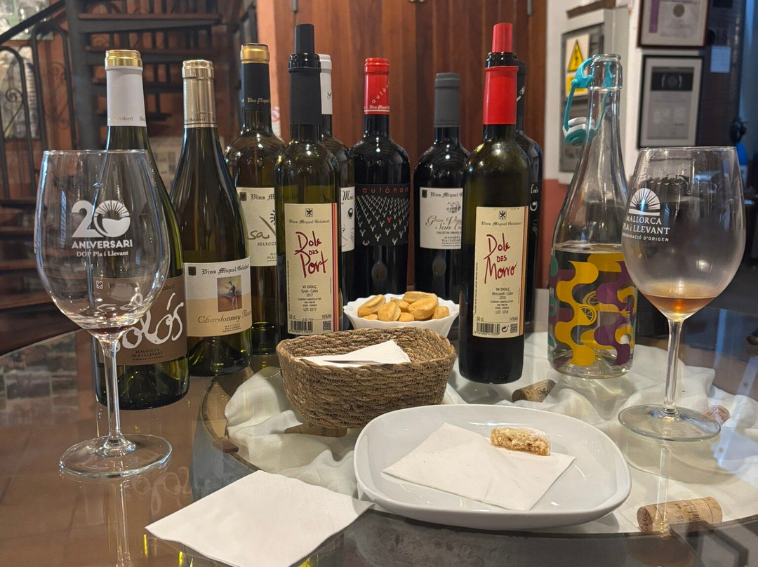 Vins Miquel Gelabert-马纳科尔必去景点