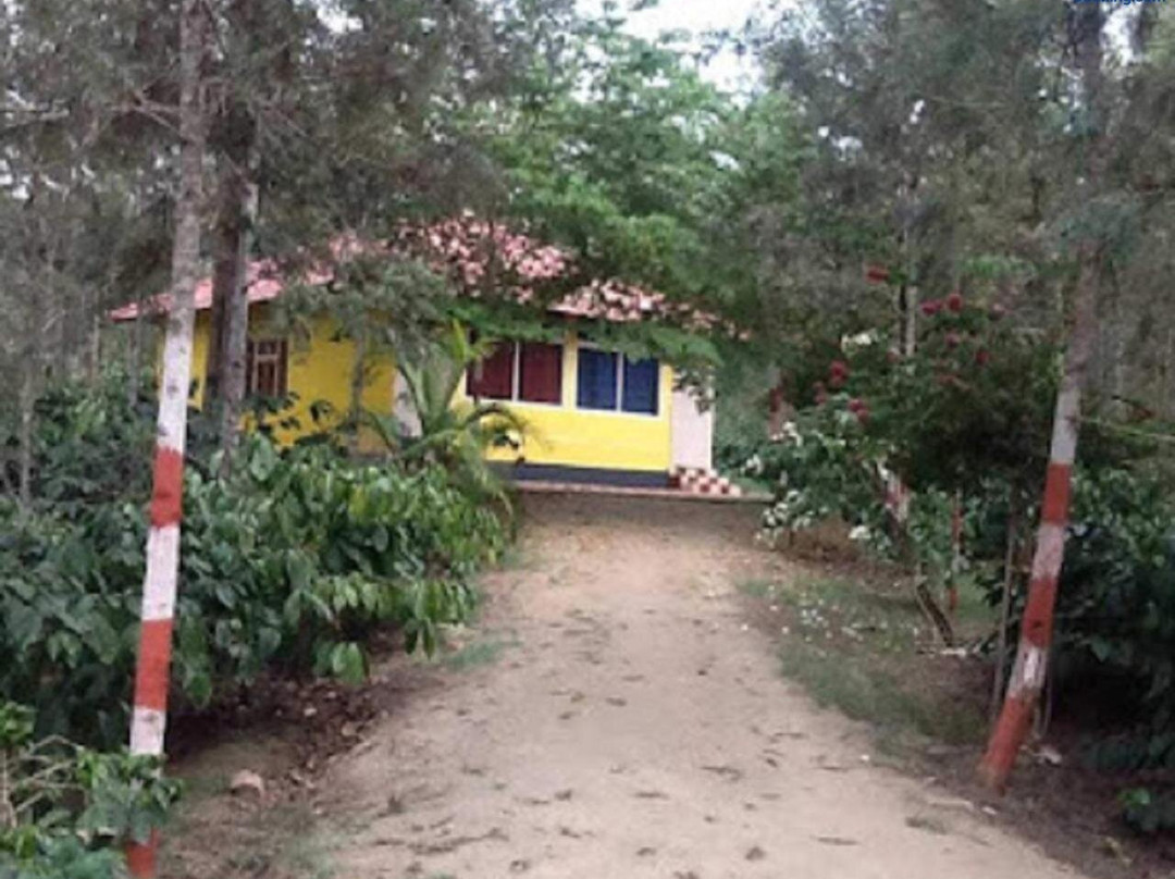 Rising Surya - Coorg Recreations by StayApart