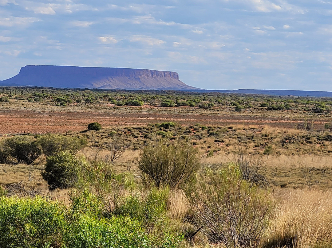 Curtin Springs Wayside Inn主图