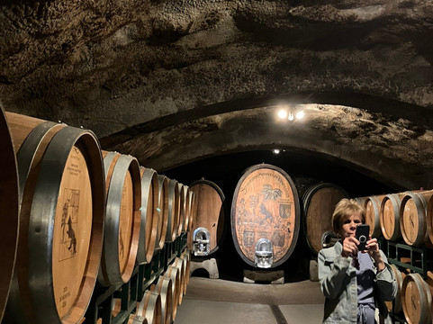 Leone Wine Tours-圣罗莎必去景点