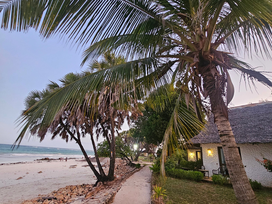 Jacaranda Indian Ocean Beach Resort主图