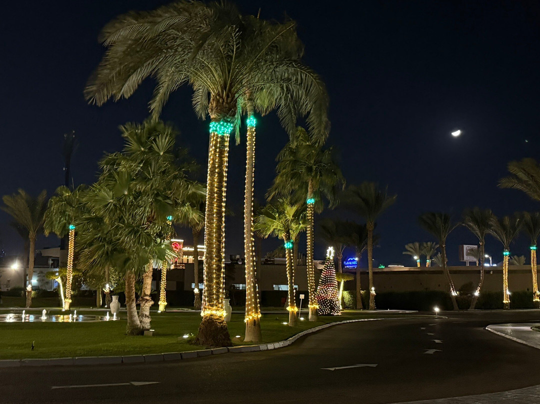 Dazzling Excursions-沙姆沙伊赫必去景点