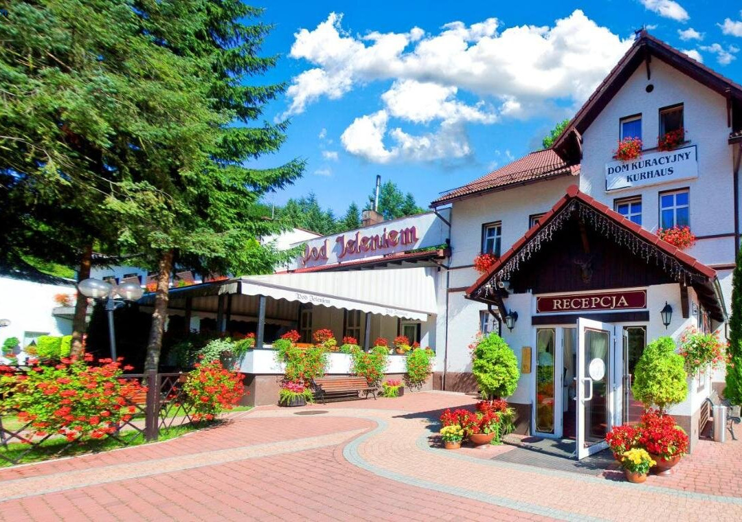 Hotel Pod Jeleniem主图