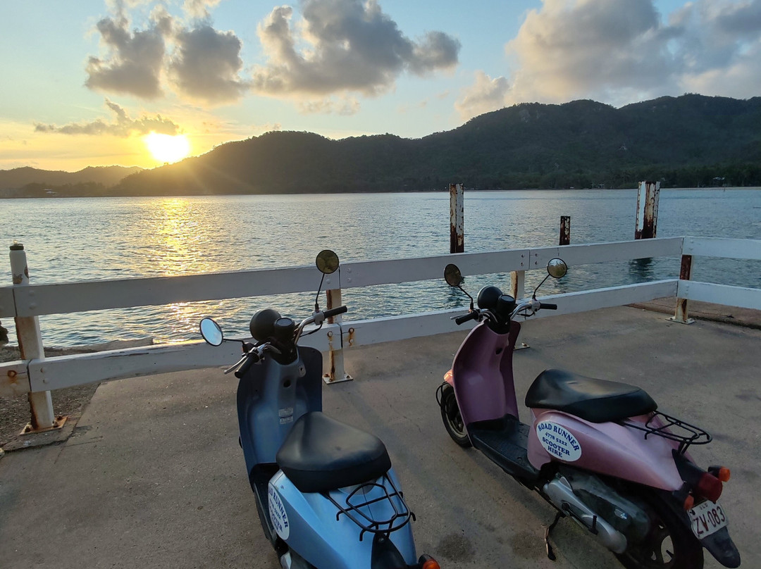 Road Runner Scooter Hire-Magnetic Island必去景点