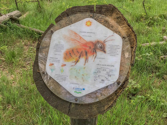 Szlak Porąbka - Trzonka-Porabka必去景点