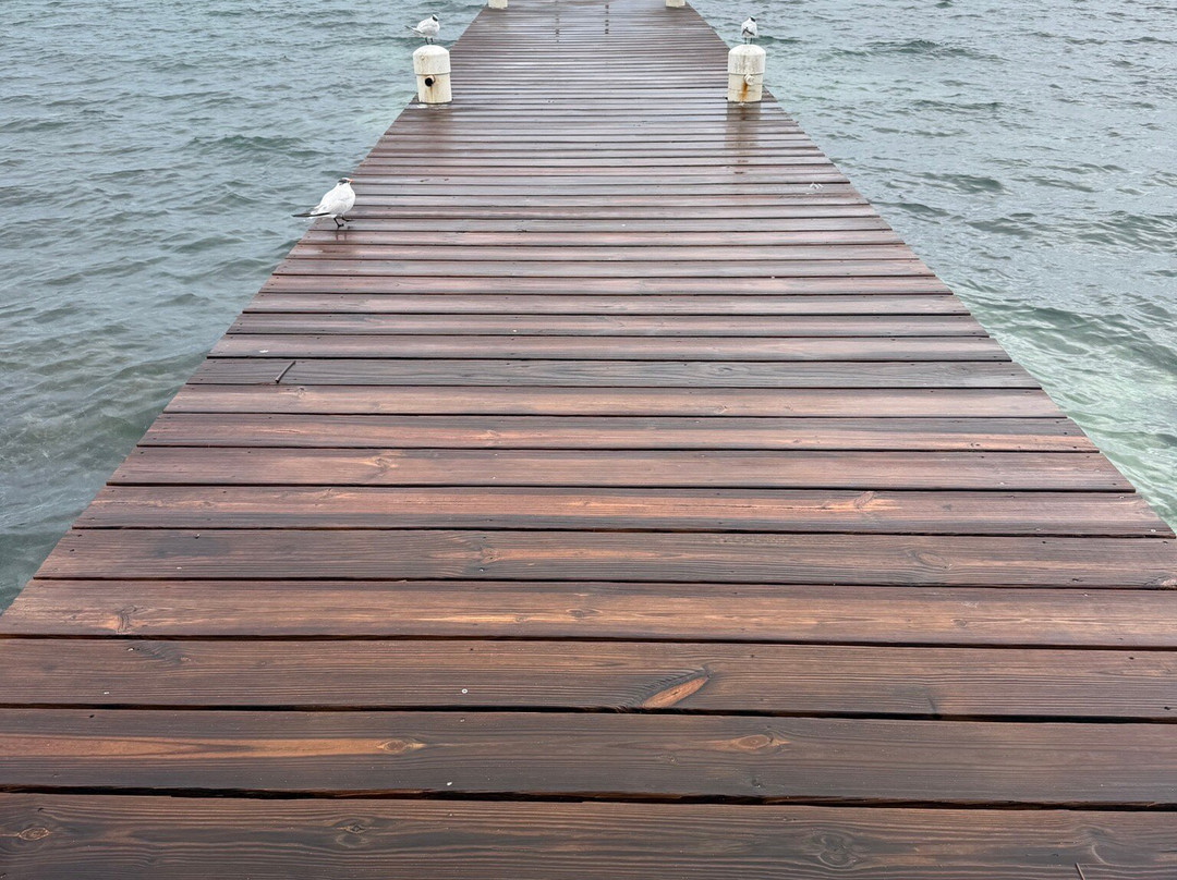 Colliers  Beach-East End必去景点