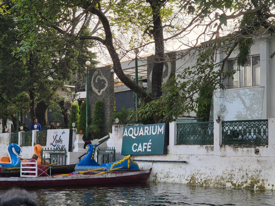 Aquarium Island Café景点图片