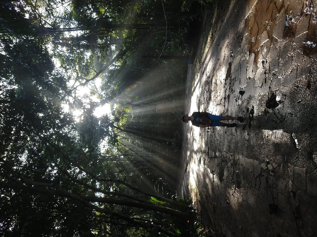 Complexo Ecologico Parque Dos Igarapes-贝伦必去景点