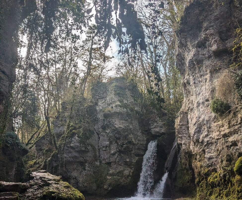 Tine De Conflens-La Sarraz必去景点