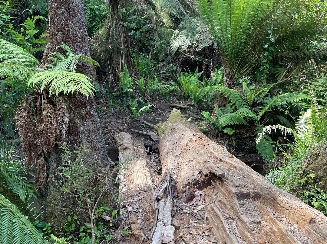 Baynes Park-蒙布克必去景点