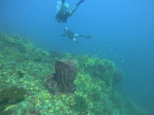 Scuba Lov.in-哈夫洛克岛必去景点