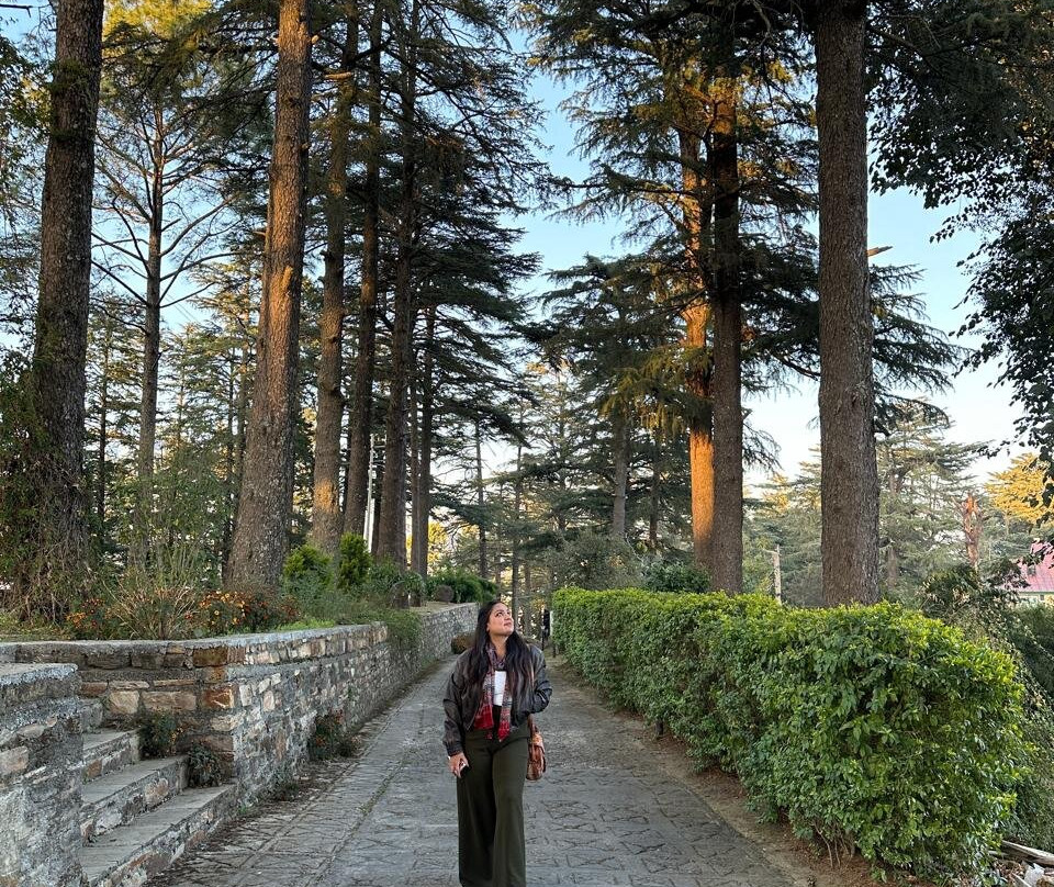 Deodar Homestay主图