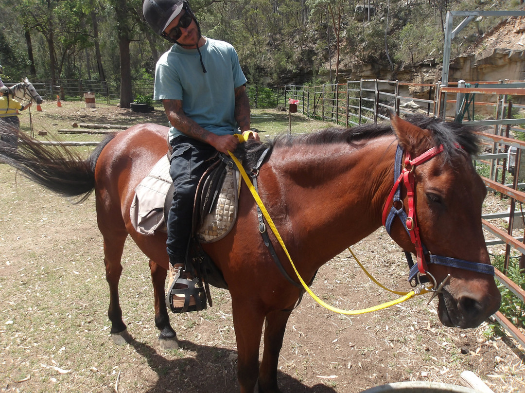 Fordsdale horseback Adventures景点图片