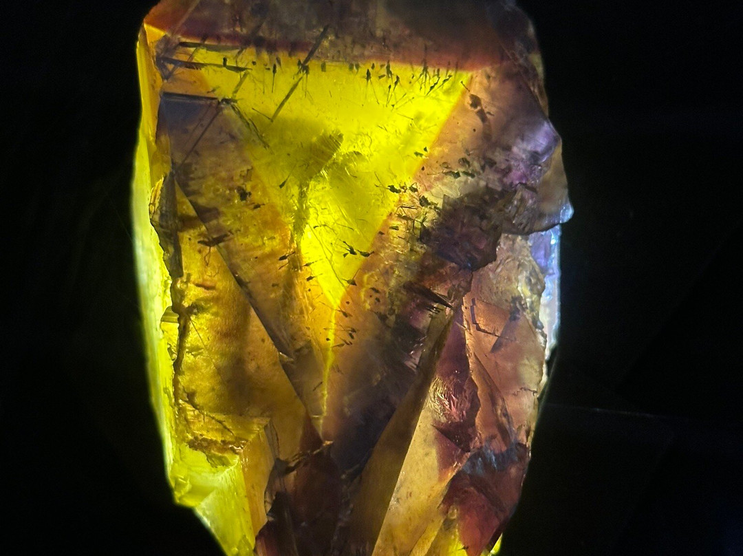Ben E. Clement Mineral Museum景点图片