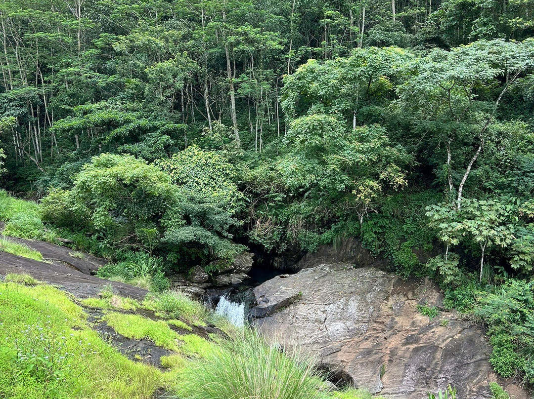 Kattikkayam Waterfalls-科塔亚姆必去景点
