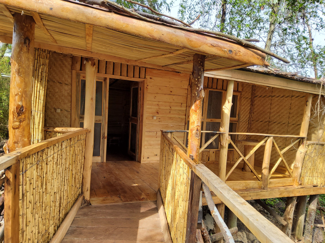 Volcanoes Forest Camp主图