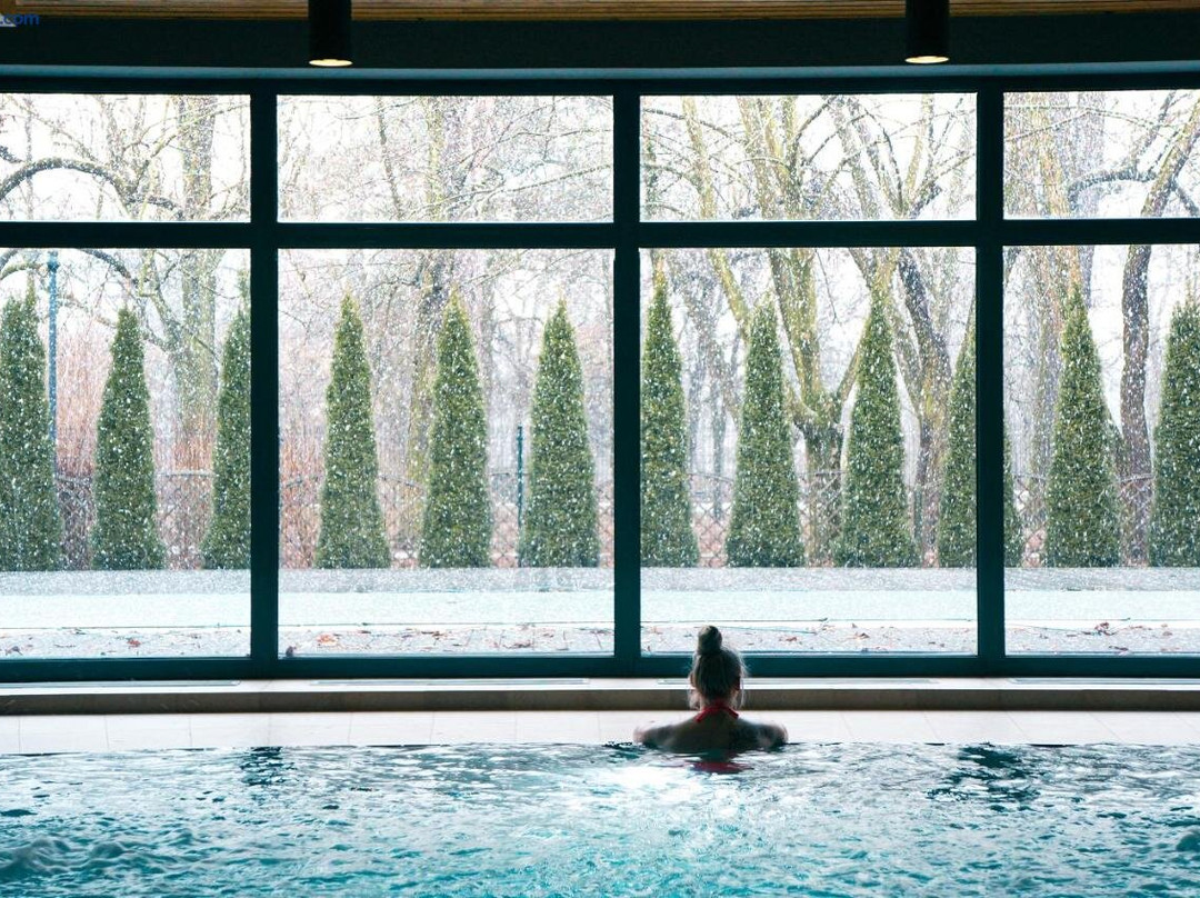 Apartamenty Ciechocinek SPA