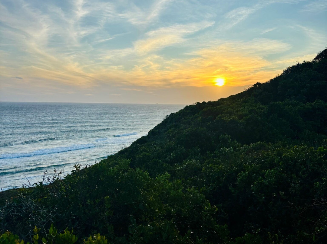 Alexandria Hiking Trails-Addo Elephant National Park必去景点