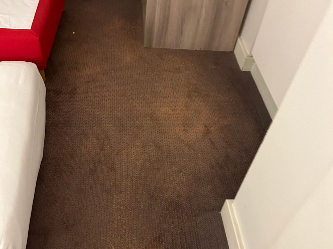 最佳西方圣莫里斯酒店主图