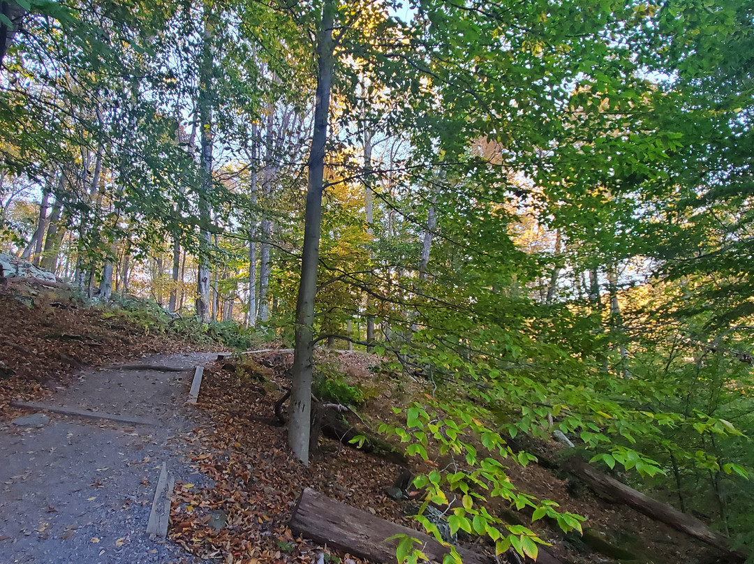Cunningham Falls State Park-Thurmont必去景点