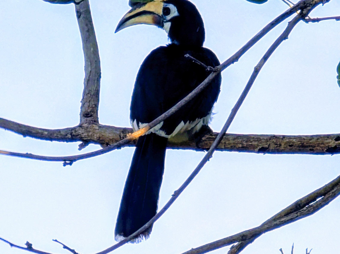 Samsam Yao Noi - Andaman Magic & Art Villas主图