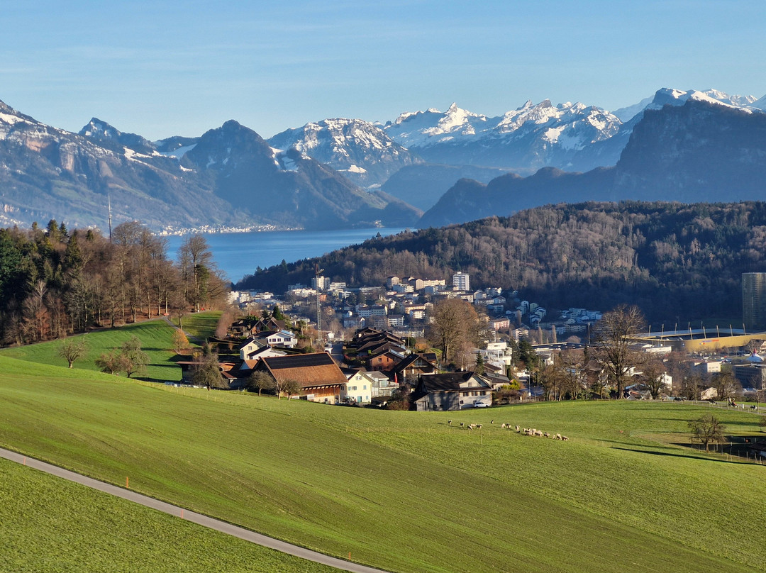 桑弄伯格酒店主图