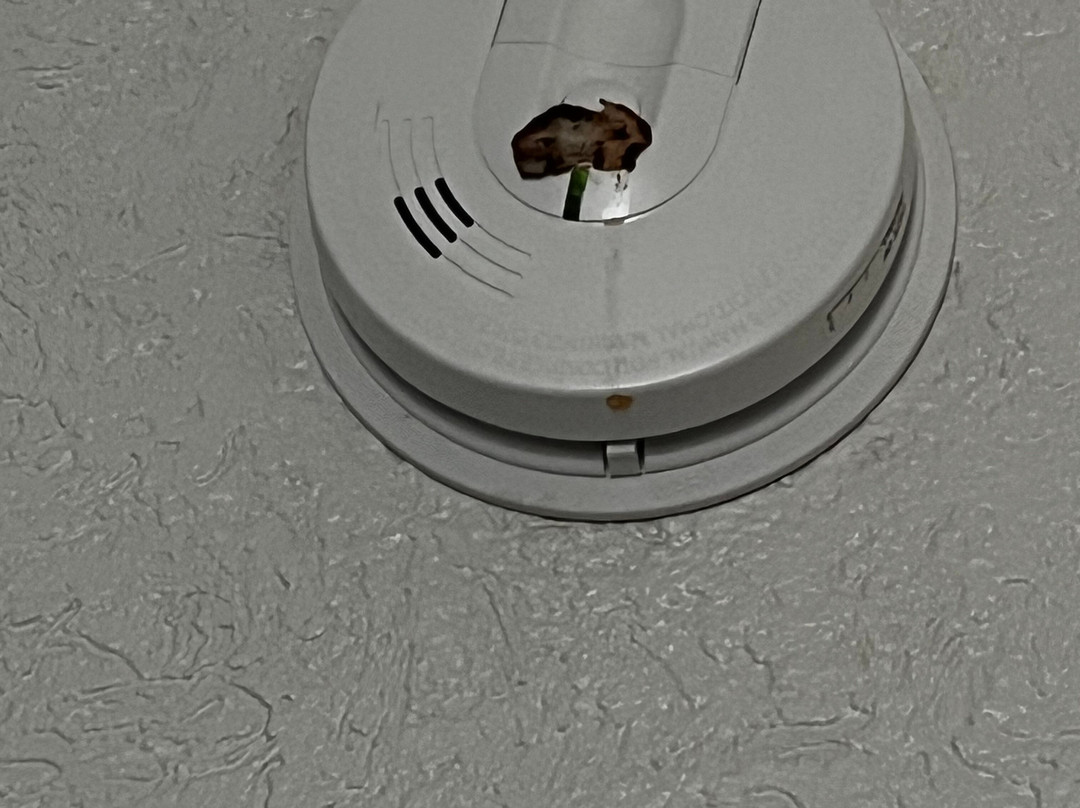 Wingate by Wyndham Savannah Gateway主图