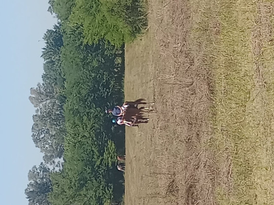 Horse Riding Lessons In Argentina-Zelaya必去景点