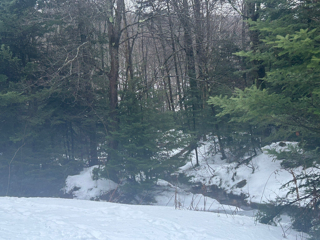 Prospect Mountain Nordic Ski Center景点图片