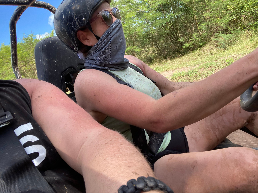 268 Buggies-Jennings必去景点