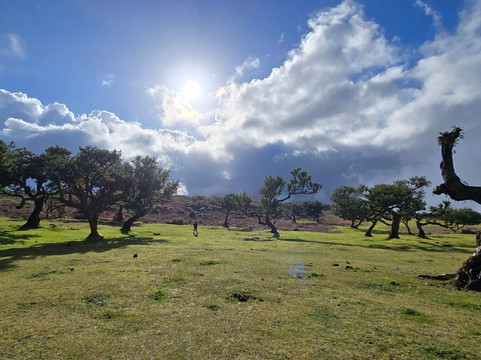 The Big Adventure Madeira-沙尔必去景点