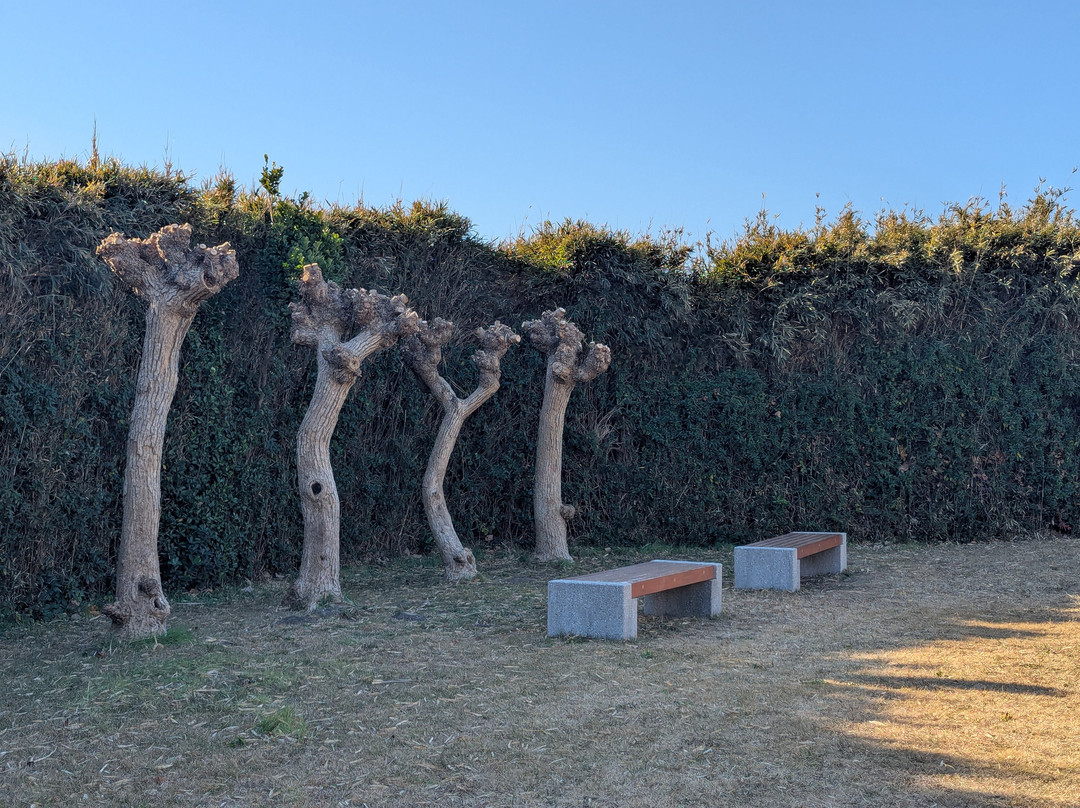 Jogashima Prefectural Park-Jogashima必去景点