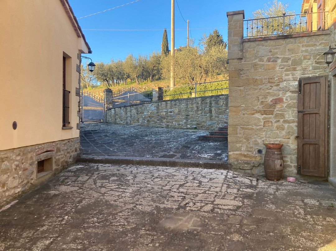Agriturismo Borgo Tra Gli Olivi主图