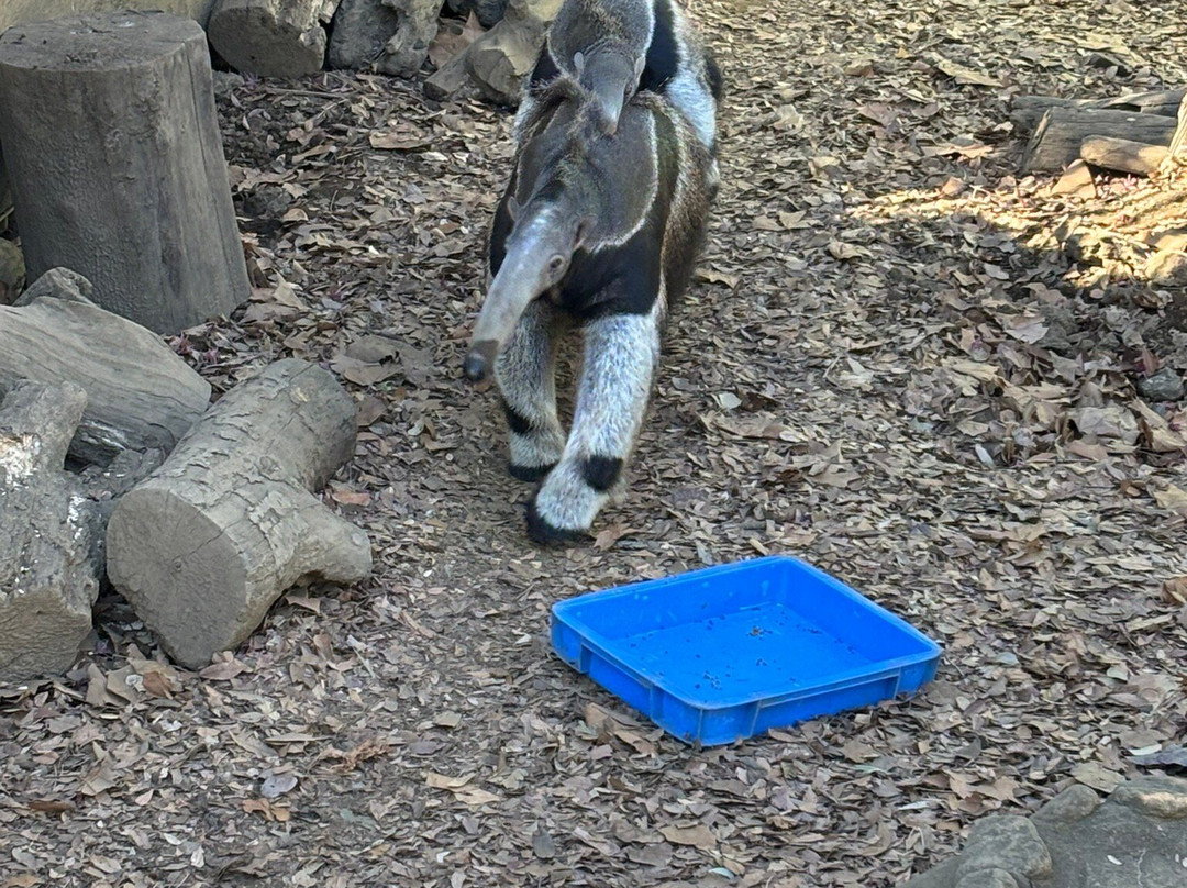 Edogawa Natural Zoo-江戸川区必去景点