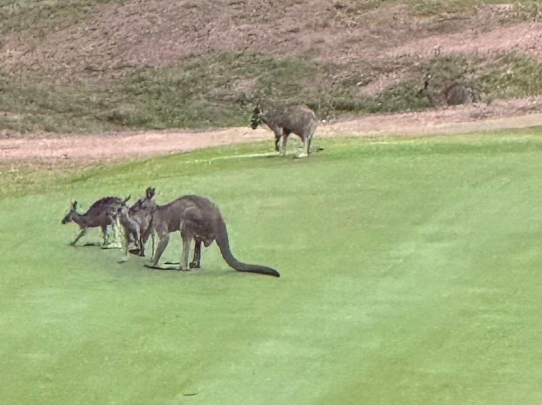 Kangaroo Valley Golf & Country Resort主图
