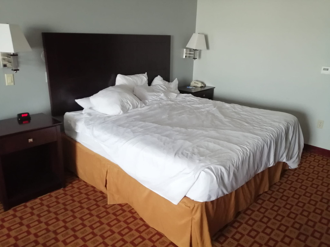 La Quinta Inn & Suites by Wyndham Alice主图