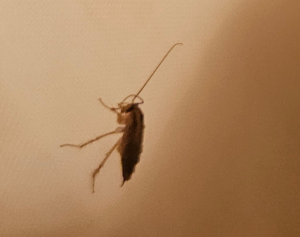 佩托斯基戴斯酒店主图