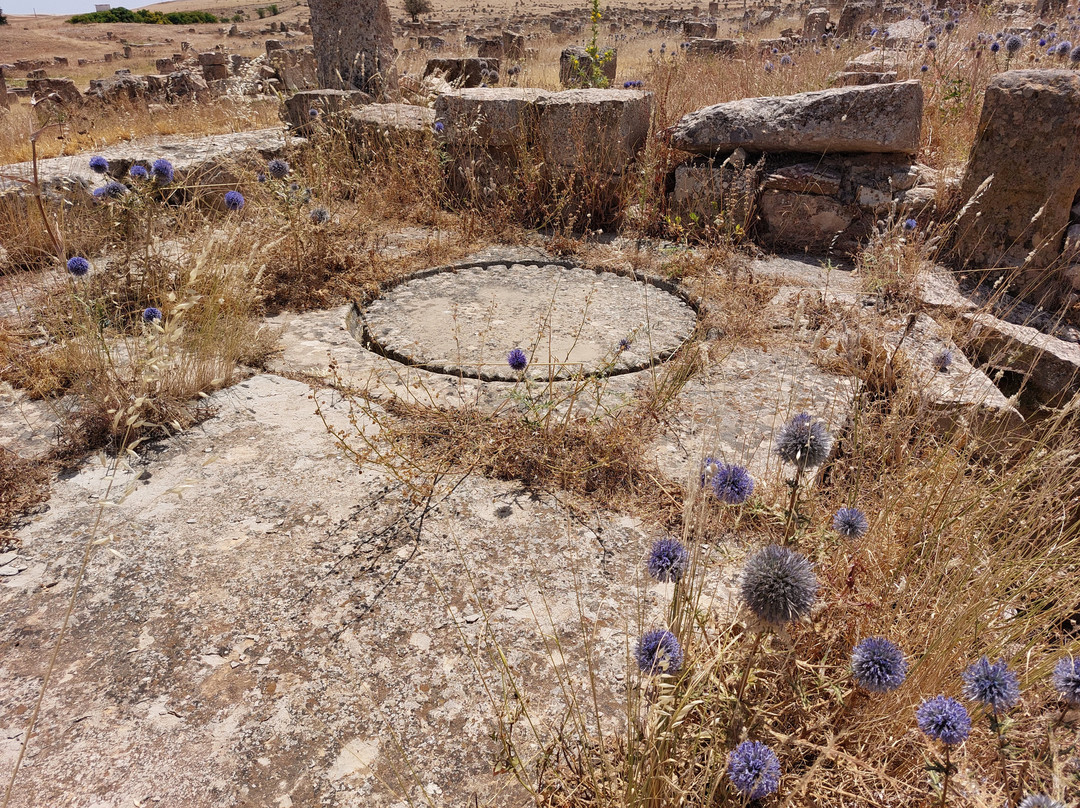 Madaure Ruins-Souk Ahras必去景点