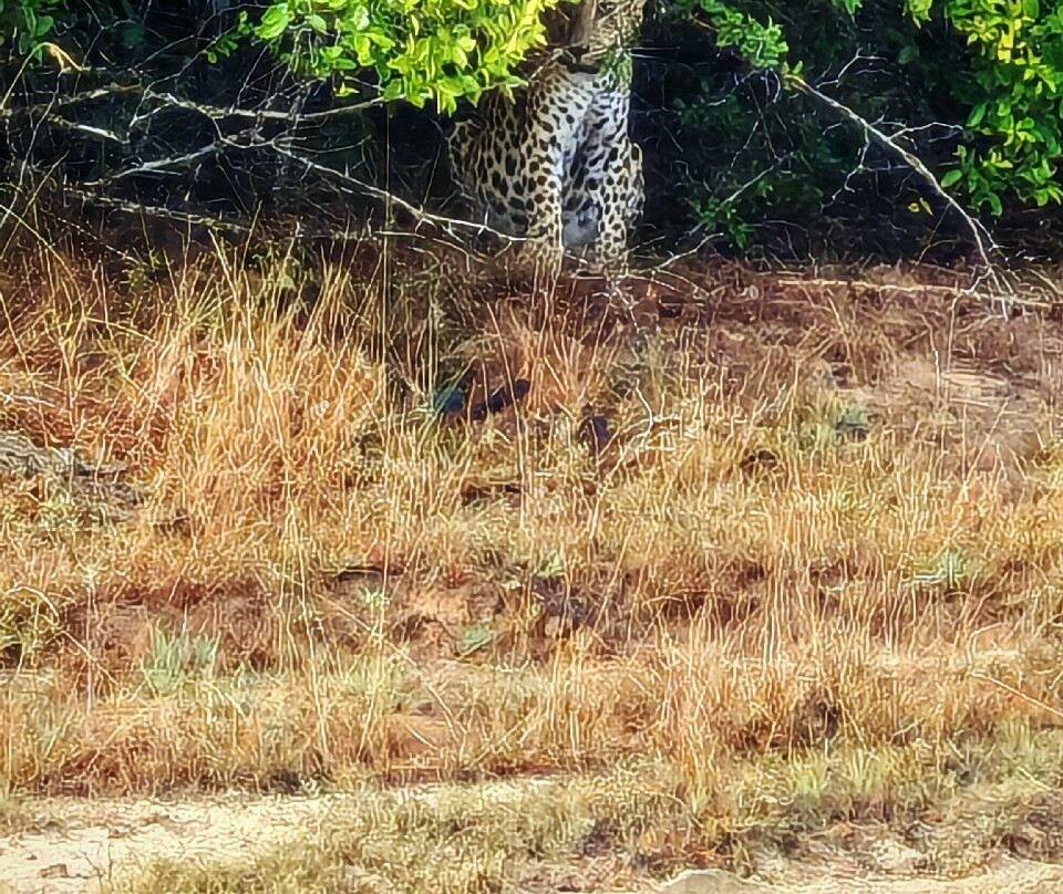 Visit Sri Lanka Holidays景点图片