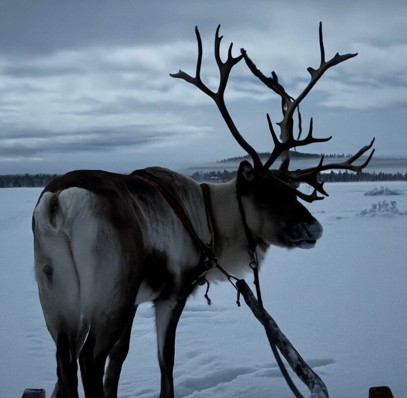 Arctic Sáivvu Adventure-Jukkasjarvi必去景点
