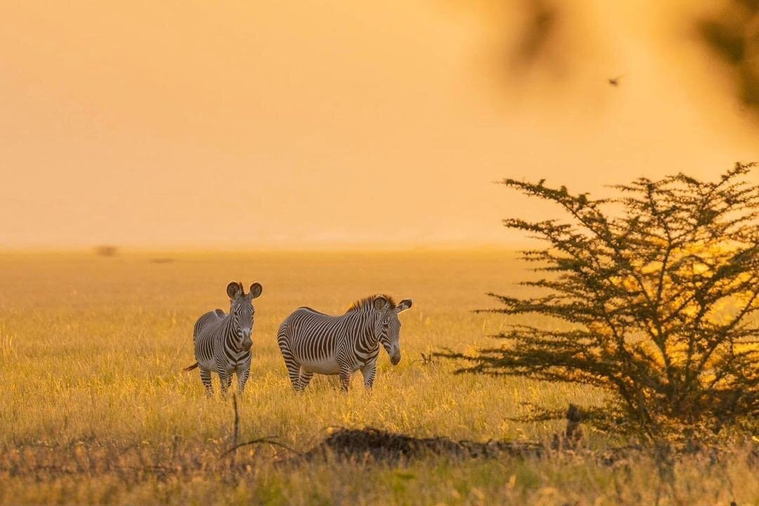 Ethio Afro Tours - Day Tours-亚的斯亚贝巴必去景点