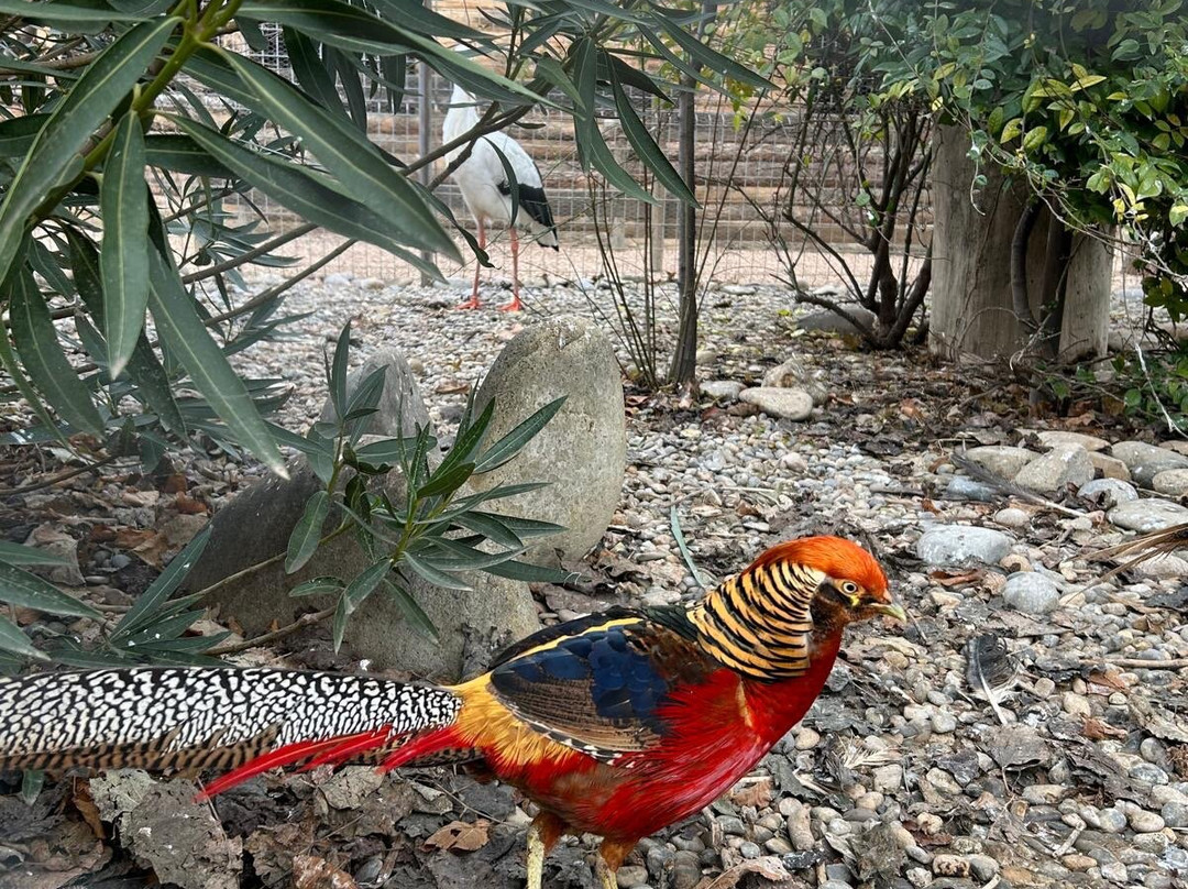 Núcleo Zoológico Iris-Barbastro必去景点