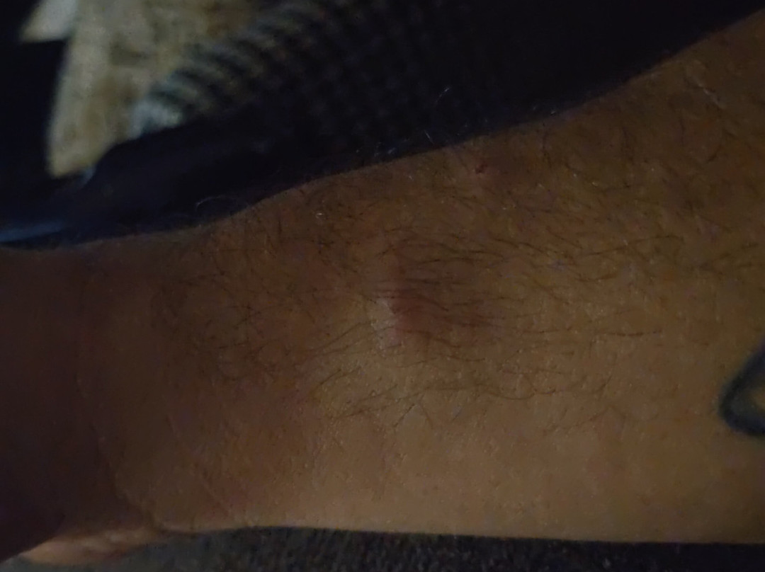 Quality Inn by Choice Hotels Commerce-Ga主图