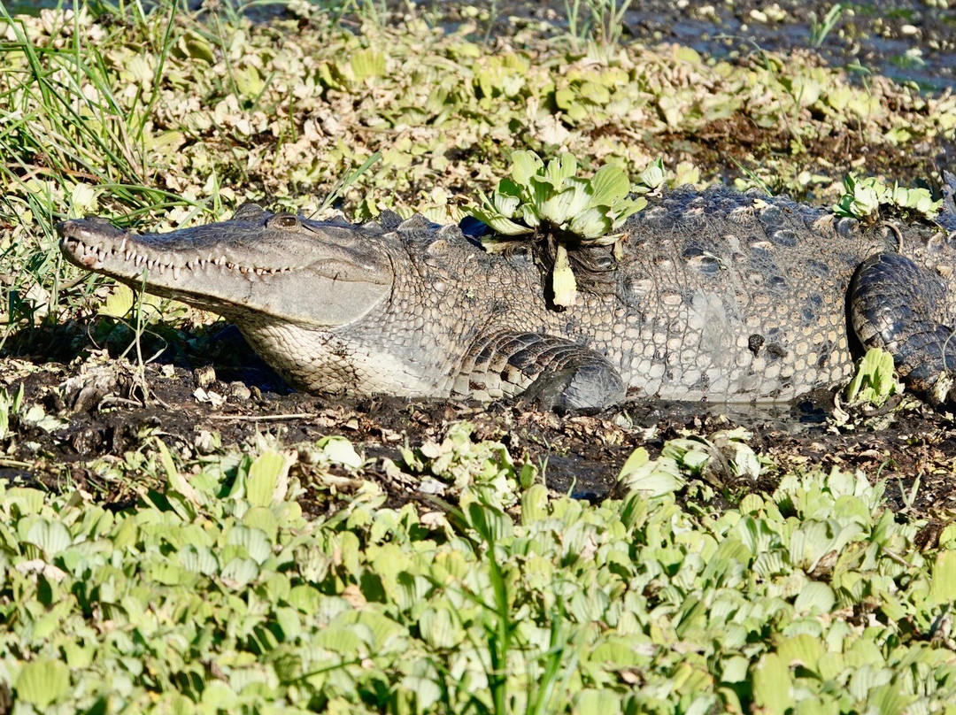 Rancho Humo Estancia主图
