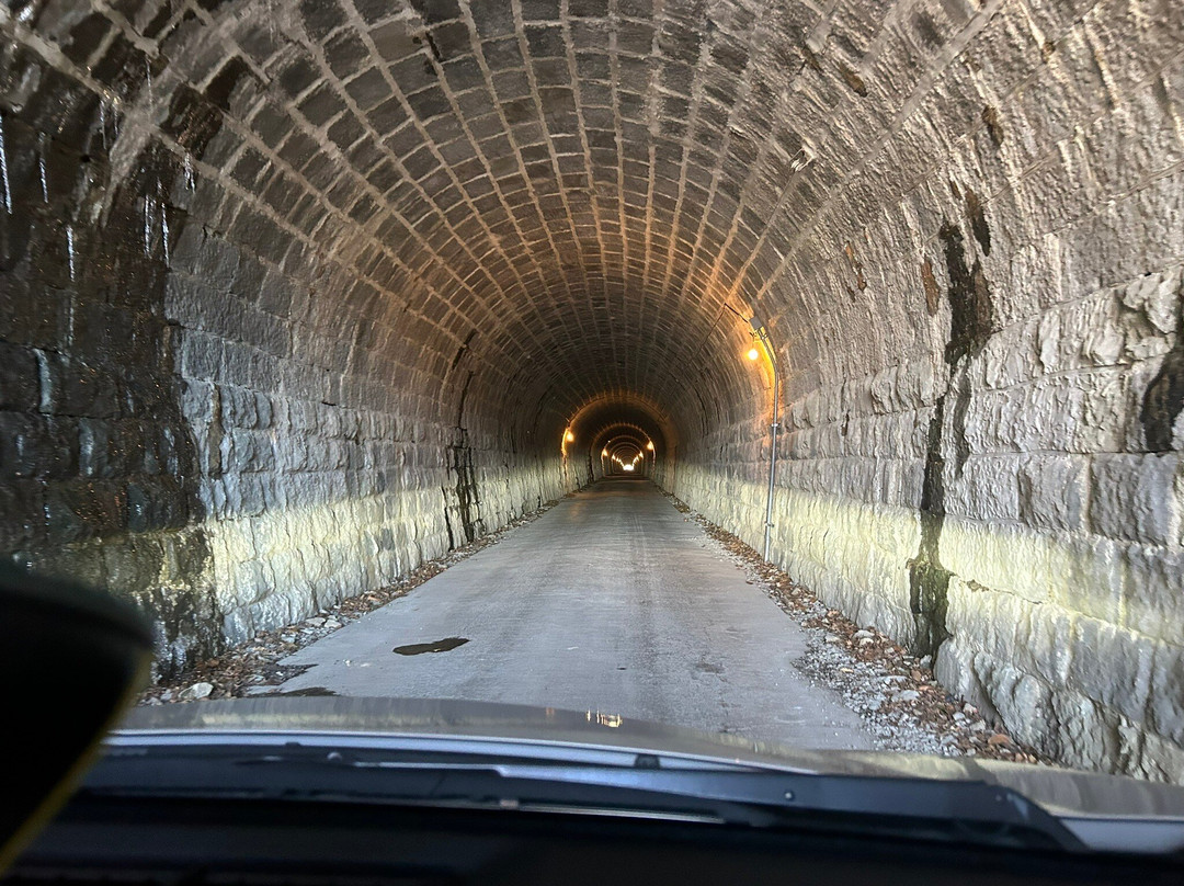 Mt. Amagi Tunnel (Former Amagi Tunnel)-伊豆市必去景点