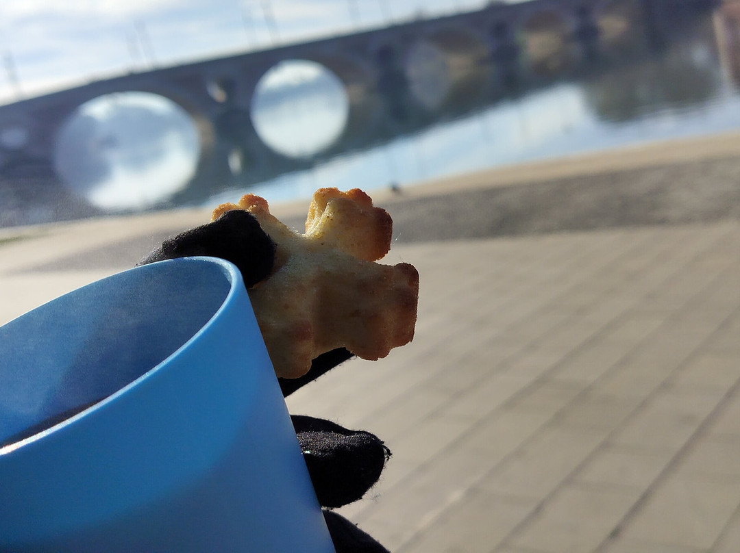 Toulouse Walking Tours-图卢兹必去景点