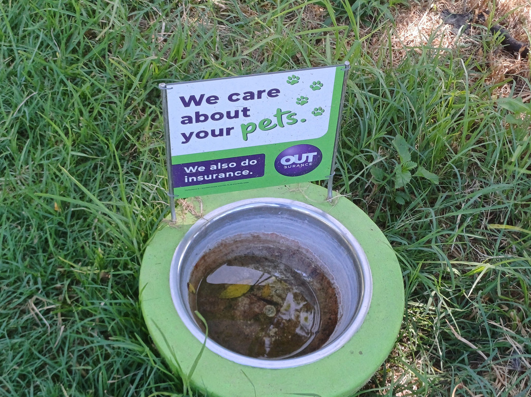 Rosemary Hill Accommodation主图