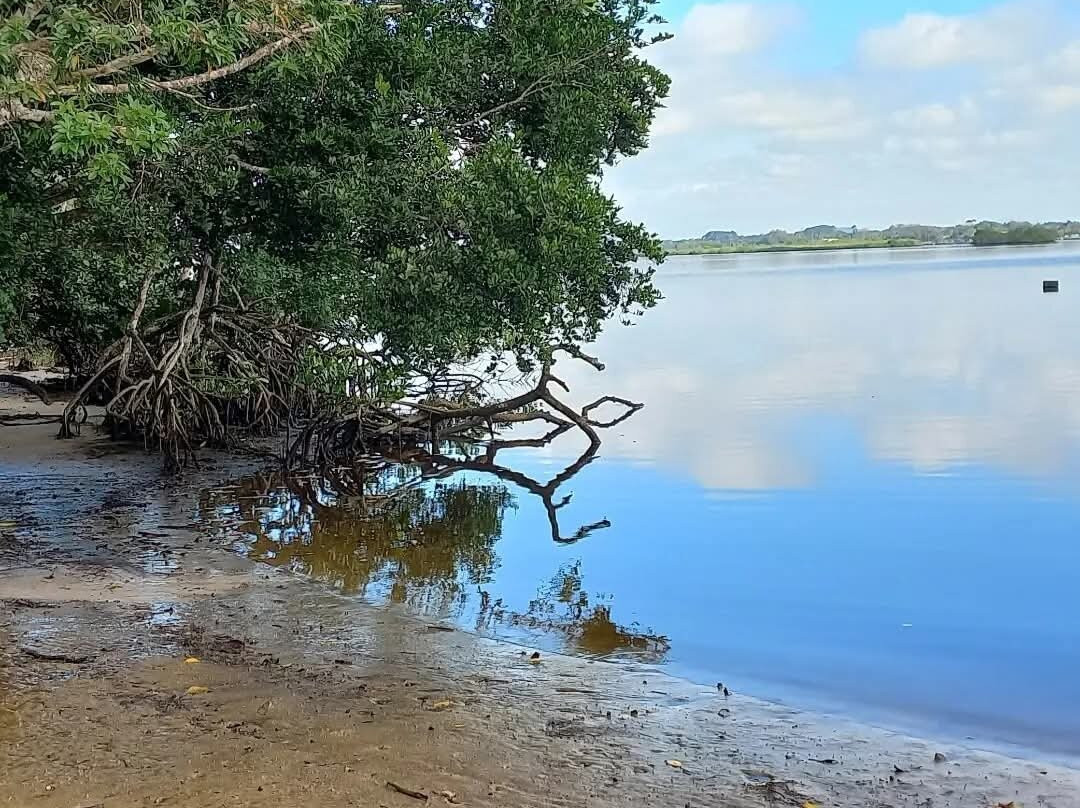 Ervino Beach-Sao Francisco do Sul必去景点