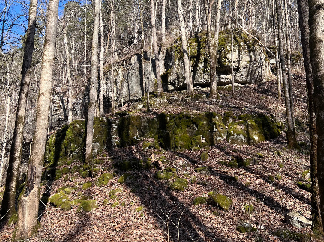 Cedar Sink Trail景点图片